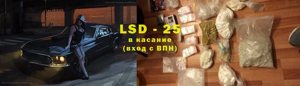 хмурый Алзамай