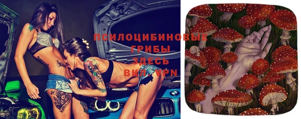 хмурый Алзамай