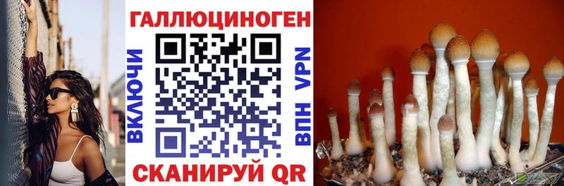 Псилоцибиновые грибы Psilocybe  Яровое 