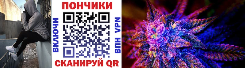 цена   Яровое  Канабис план 